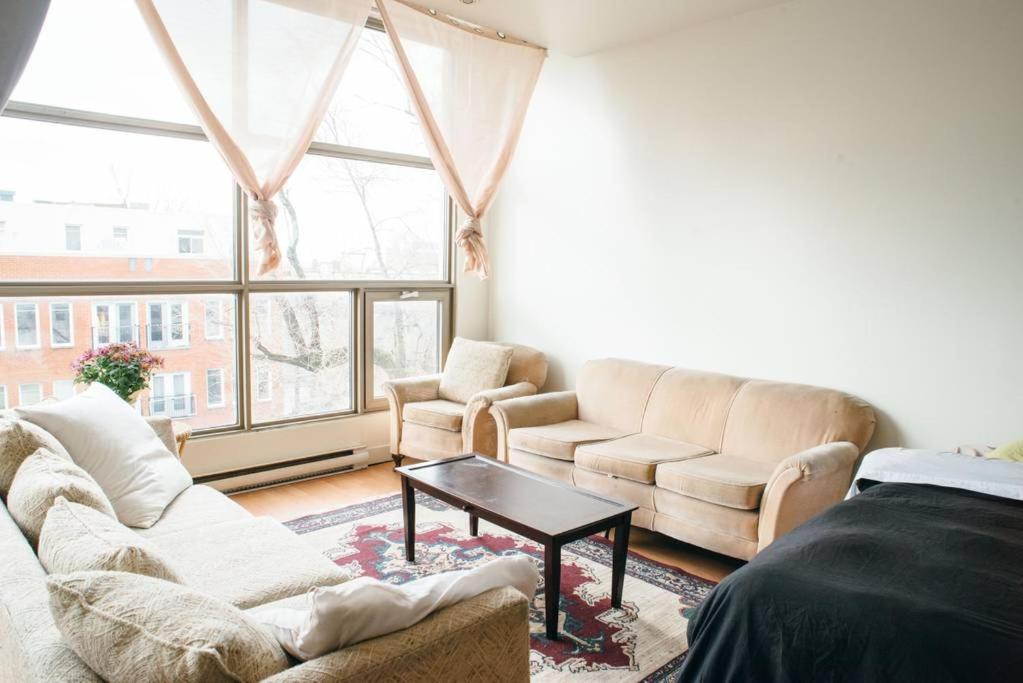 Les Lofts Mont-royal *